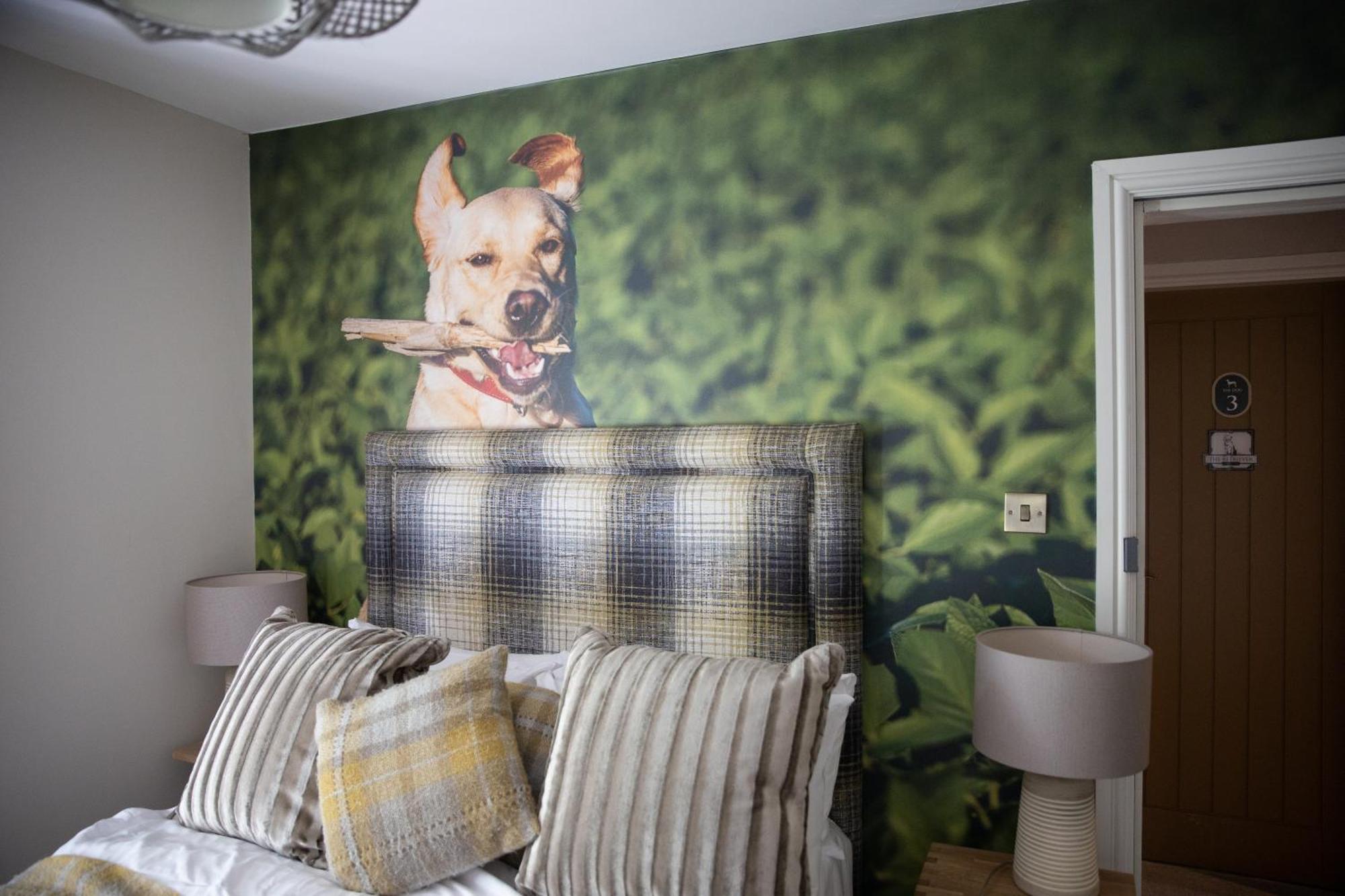 The Dog In Over Peover Knutsford Exterior foto